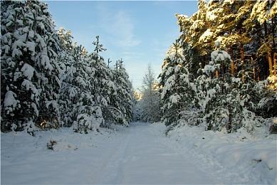 VR游戏《侏罗纪世界：余波》完整版现已登陆Switch